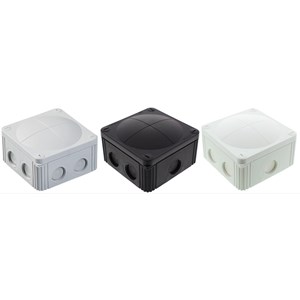combi607 group photo.JPG